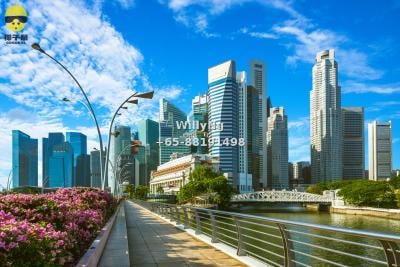 第15邮区大型豪宅项目 | 步行2分钟至地铁站 | 奢华生活极致体验 5