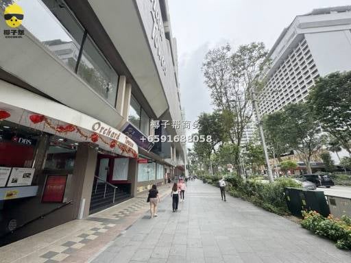 🏙✨【Orchard Road 办公室！隐秘宝藏单位大曝光🔥】 13