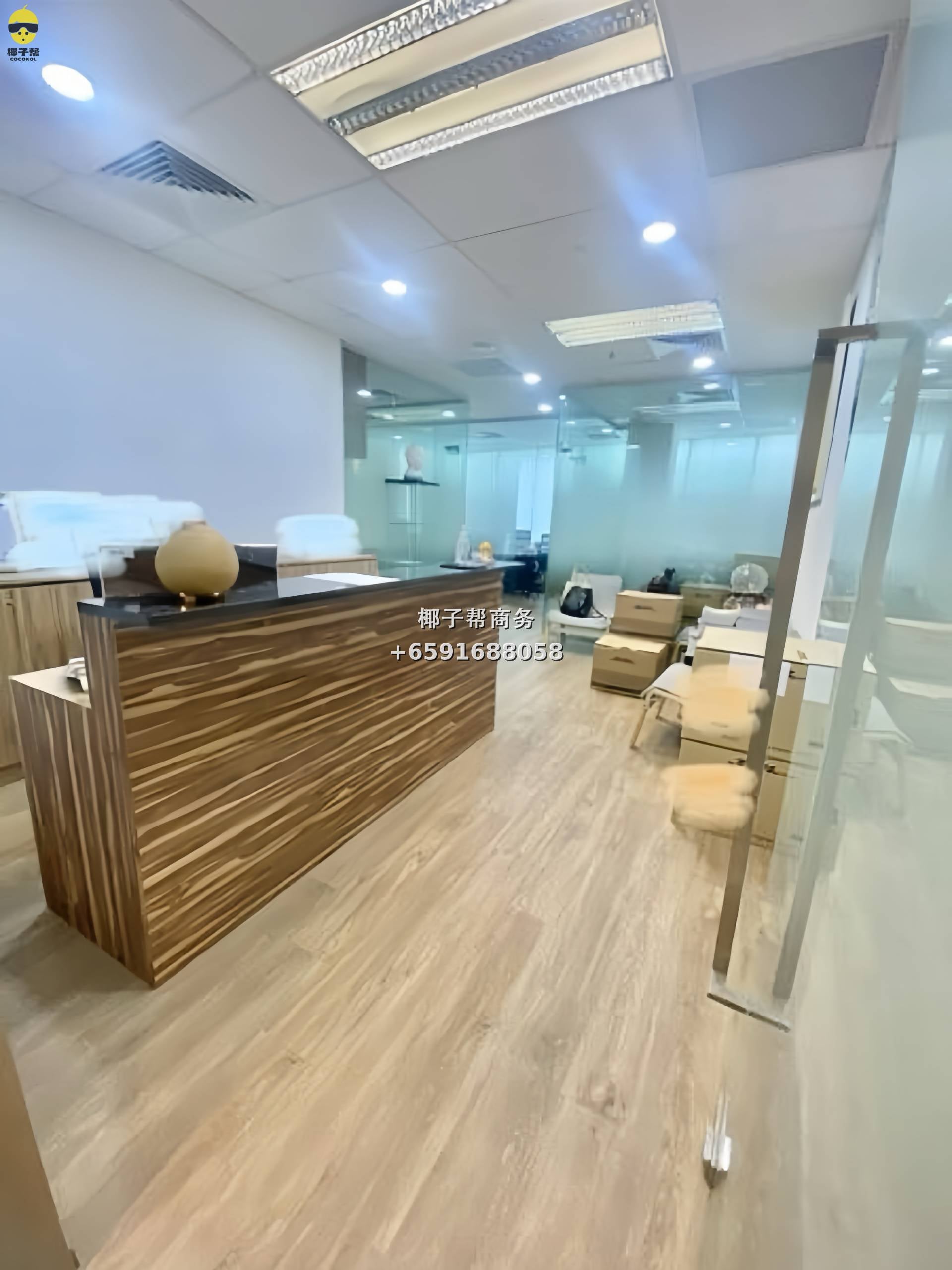 🏢【CBD边缘黄金地段】Havelock II 精装办公室出租💼 1