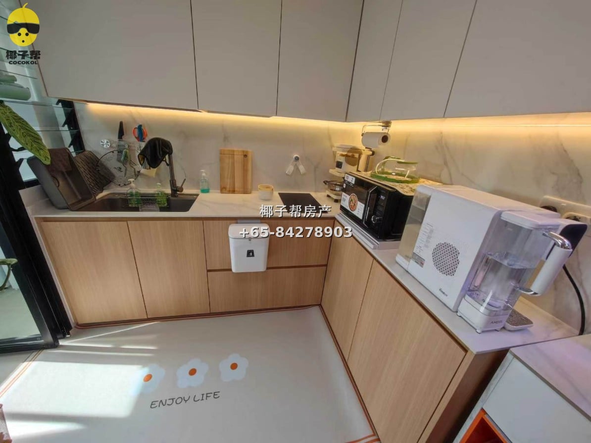 【出租】大巴窑MRT全新BTO高层组屋单间 4