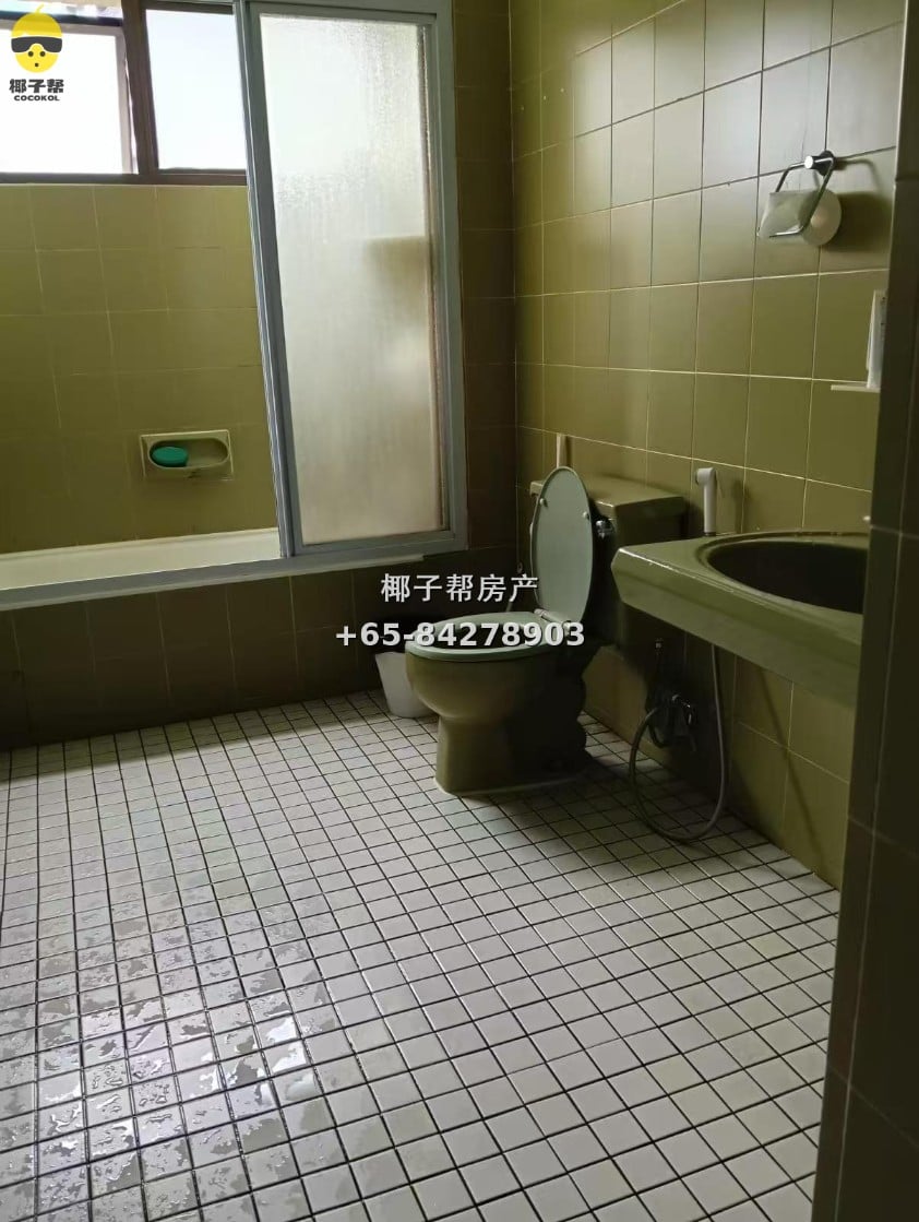 【出租】市中心乌节路MRT普通房 2