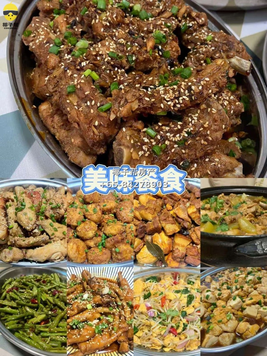 【新加坡温馨寄宿家庭】义顺MRT和XCL附近 2