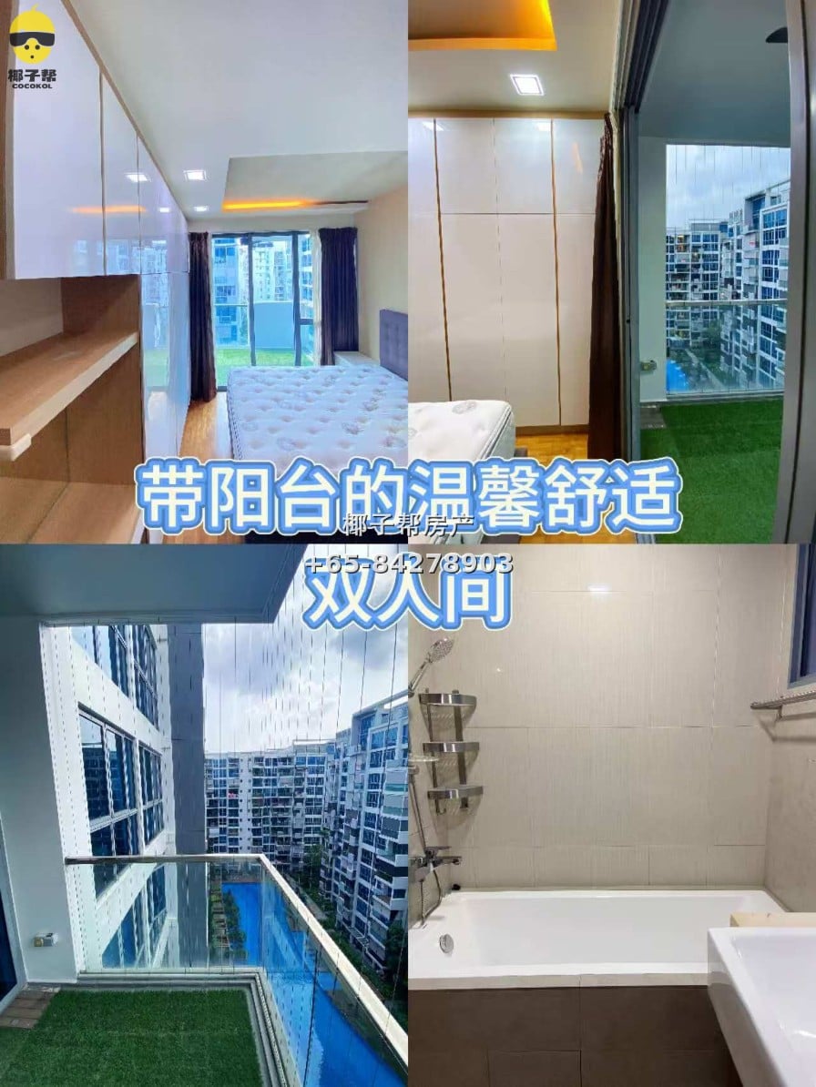 【新加坡温馨寄宿家庭】义顺MRT和XCL附近 7