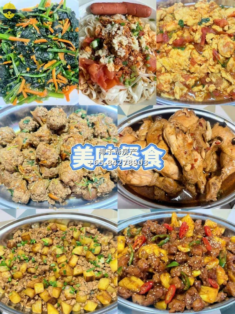 【新加坡温馨寄宿家庭】义顺MRT和XCL附近 8