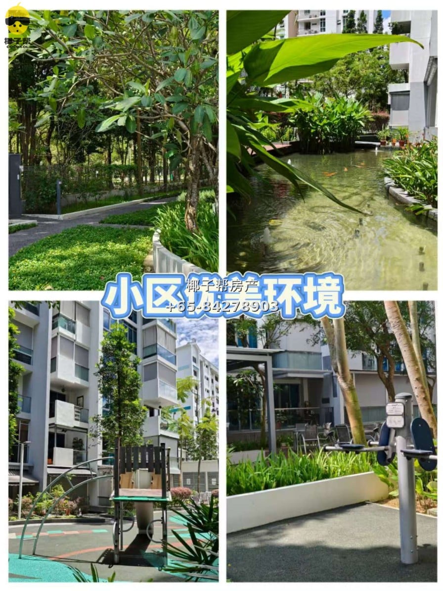 【新加坡温馨寄宿家庭】义顺MRT和XCL附近 3