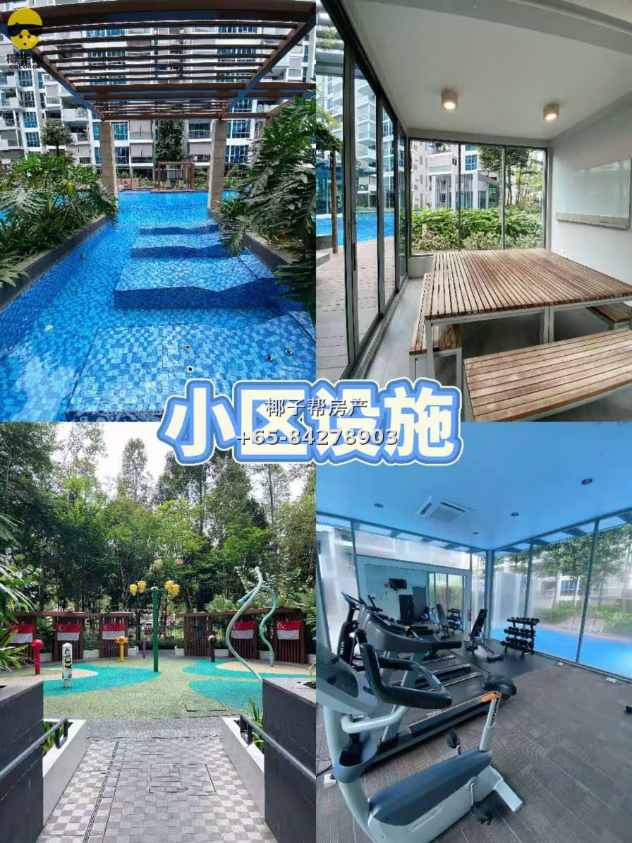 【新加坡温馨寄宿家庭】义顺MRT和XCL附近 9