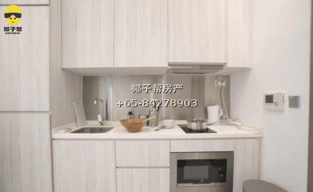 【出租】巴耶利峇MRT公寓主人房 5