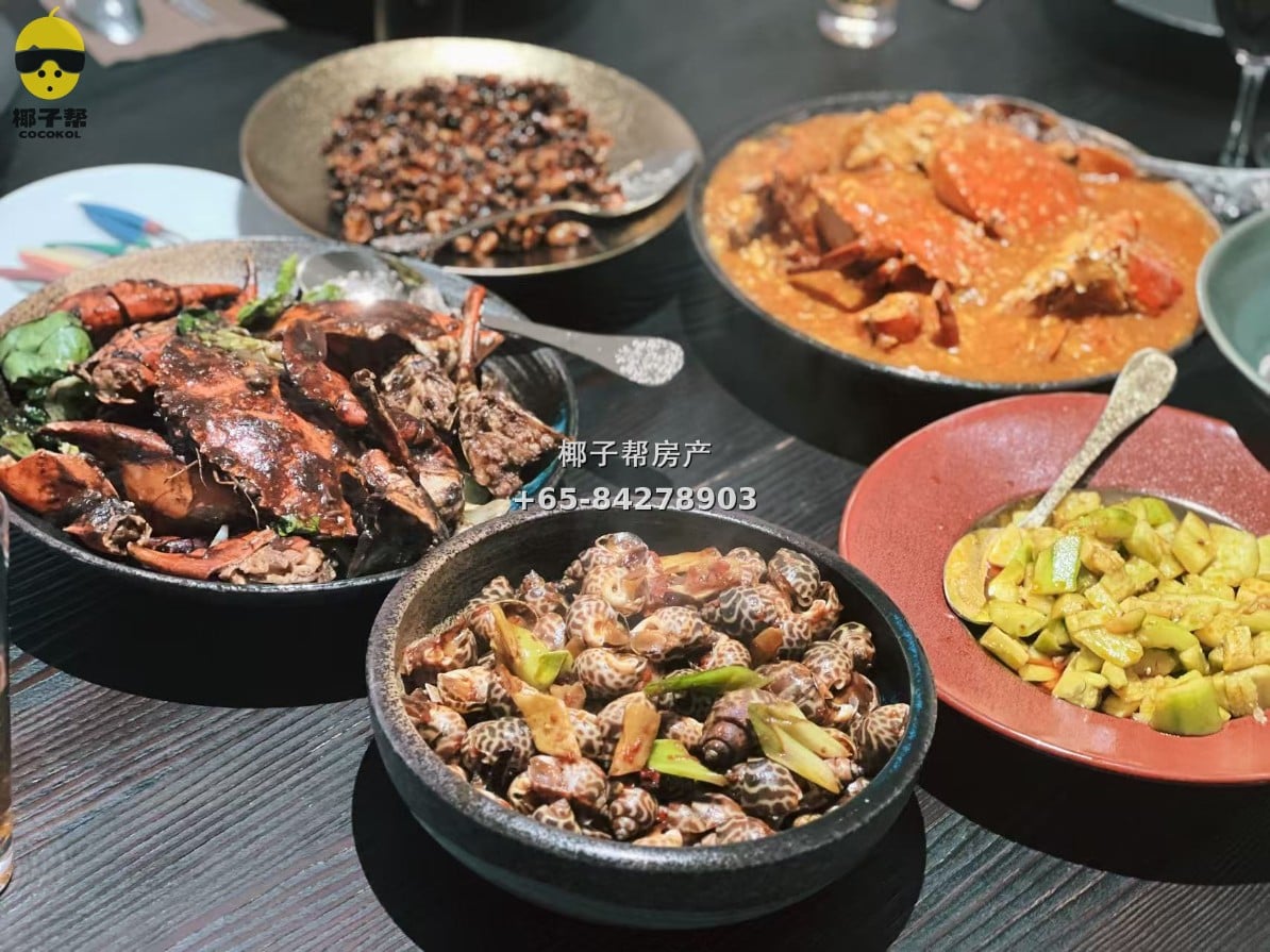 【Nanyang Villa Homestay】 Near Eunos MRT 6