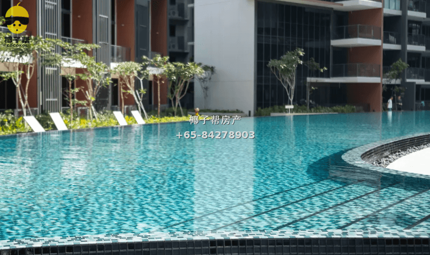 【For Rent】Serangoon MRT Apartment Sunny Single Room 5
