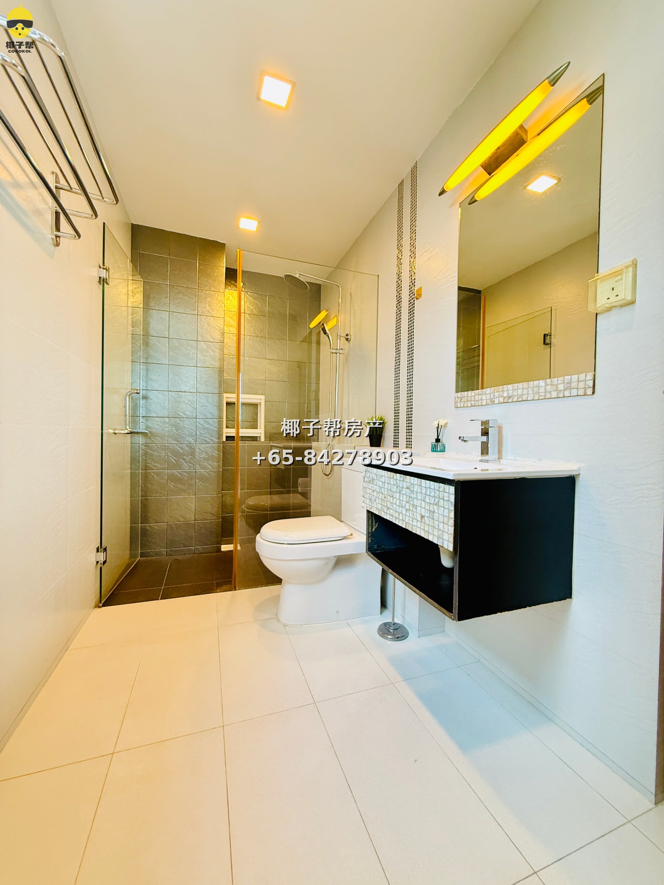 【For Rent】Master Room in Apartment near Botanic Gardens MRT 5