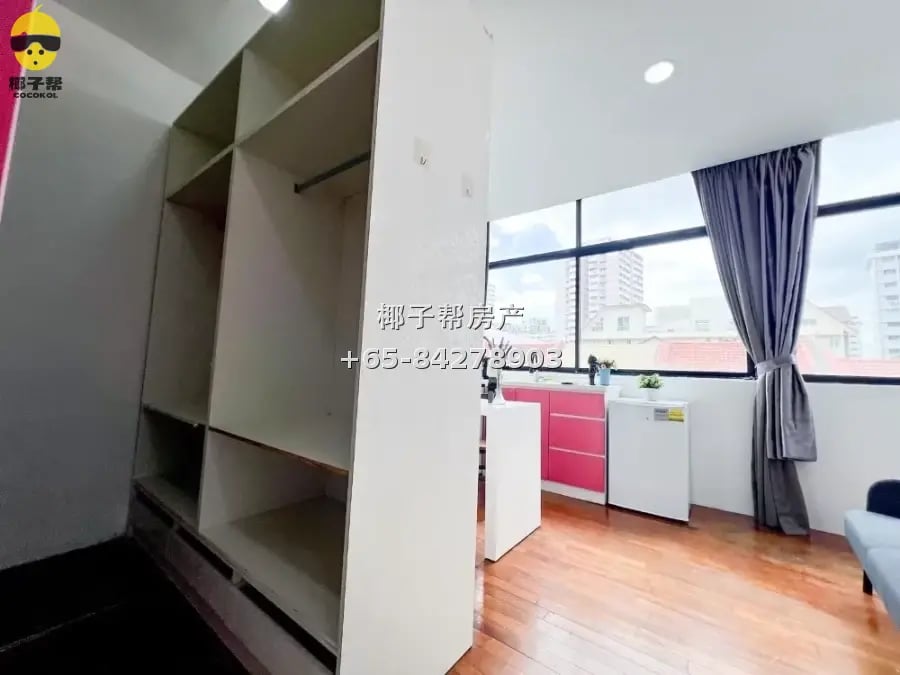 Boutique apartment next to Paya Lebar MRT, whole unit for re 4