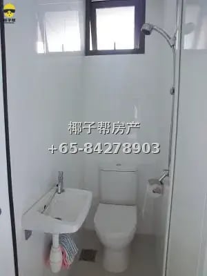 1 min walk from Aljunied MRT, pool condominium maid's room, 3