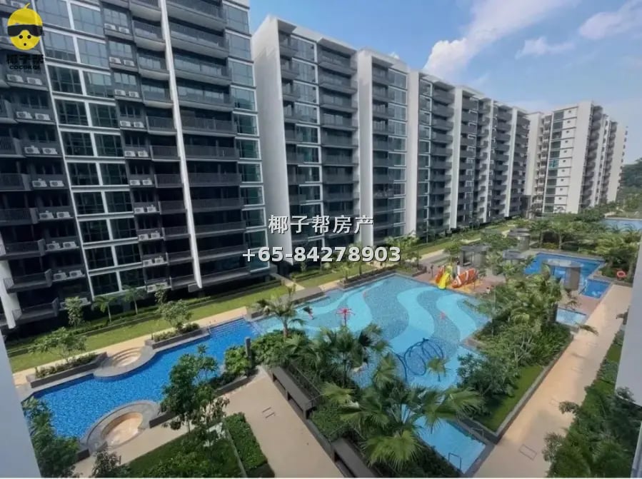 【出租】淡滨尼Treasure at Tampines公寓普通房 包水电带家具近巴士站 3