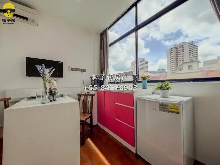 Boutique apartment next to Paya Lebar MRT, whole unit for re 2