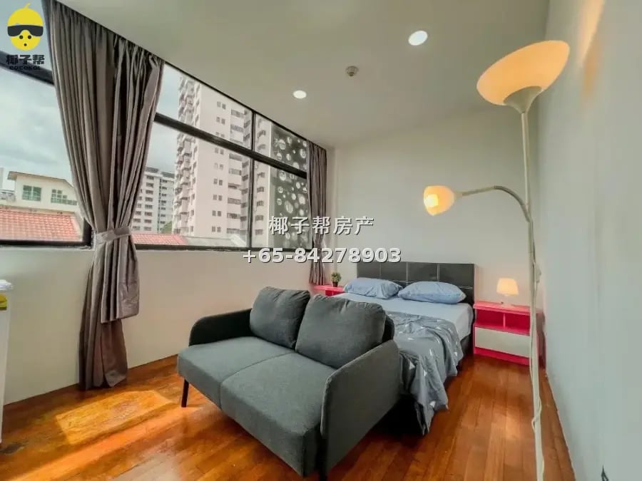 Boutique apartment next to Paya Lebar MRT, whole unit for re 1