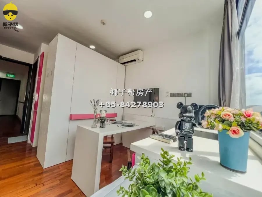 Boutique apartment next to Paya Lebar MRT, whole unit for re 5