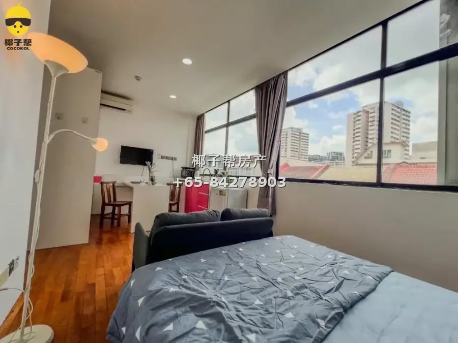 Boutique apartment next to Paya Lebar MRT, whole unit for re 6