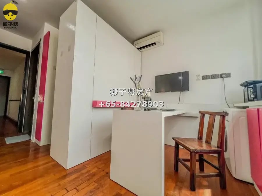 Boutique apartment next to Paya Lebar MRT, whole unit for re 3