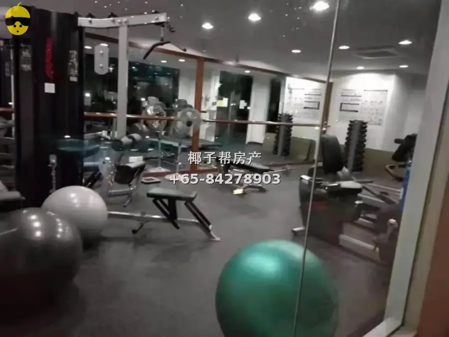 【出租】Novena泳池公寓普通房 近地铁带家具即刻入住 5