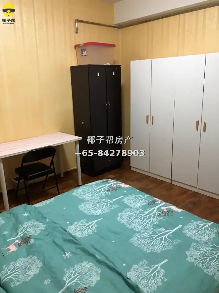 近Kaplan，SMU公寓大普通房$1300 6