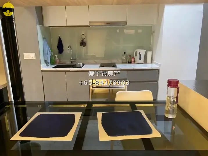 1+1 Euhabitat (Condo) Near Eunos MRT 2
