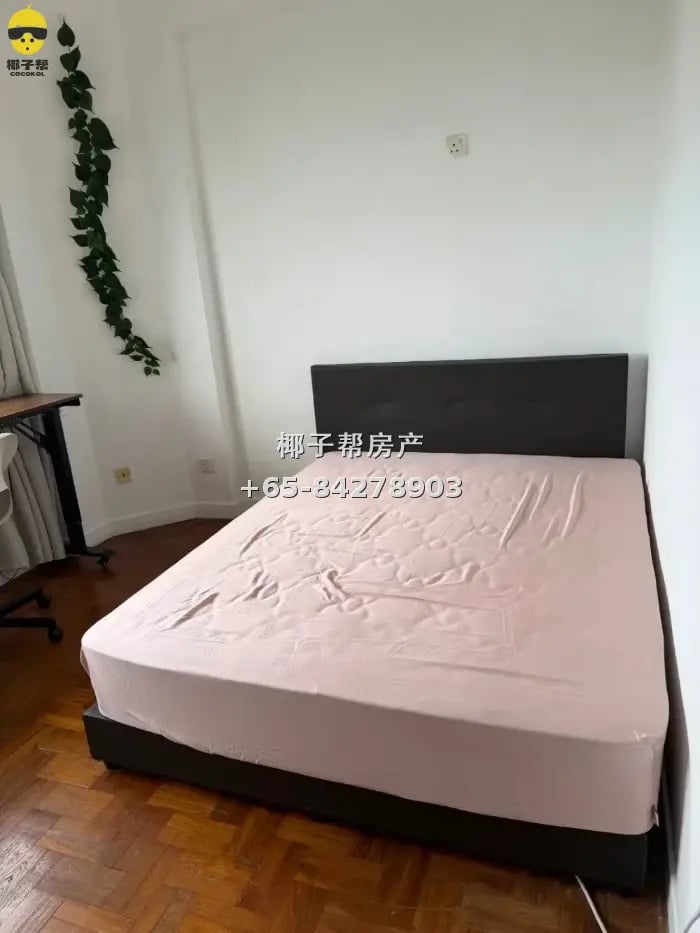 最便宜性价比最高 住人最少的公寓 2B2B 主人房$1400 1