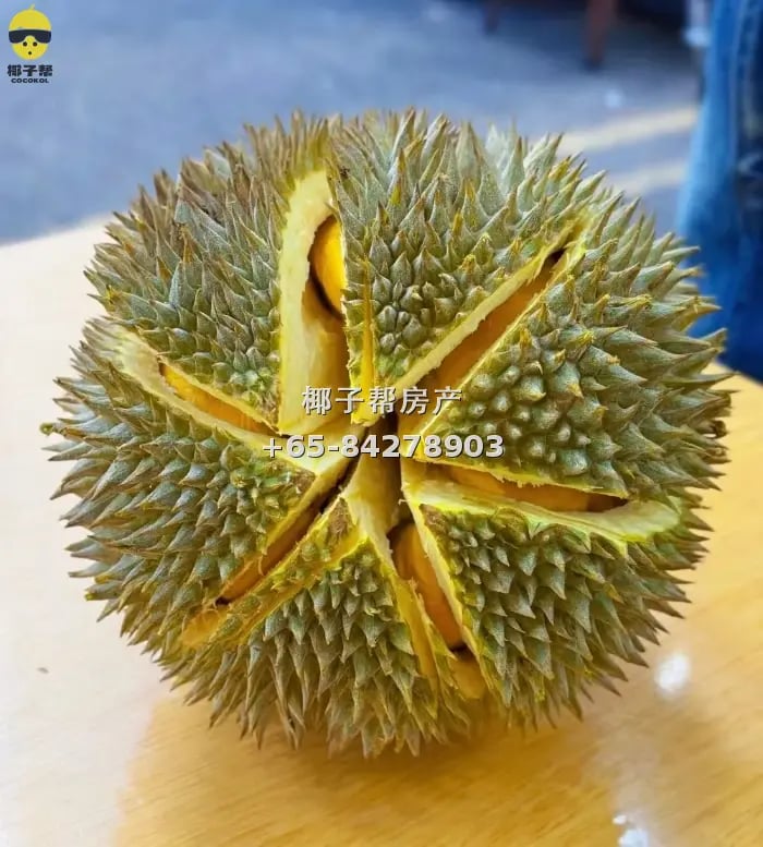 后港3道24座 邮编530024 ， 随时入住 本屋地址500 四人间 ，欢迎中介来骚扰[吃瓜][吃瓜] 1