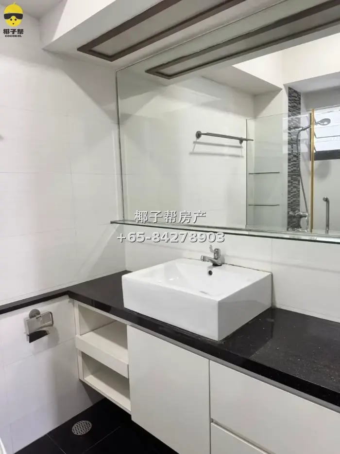 Redhill Telok Blangah HDB flat single room. High floor, well 1