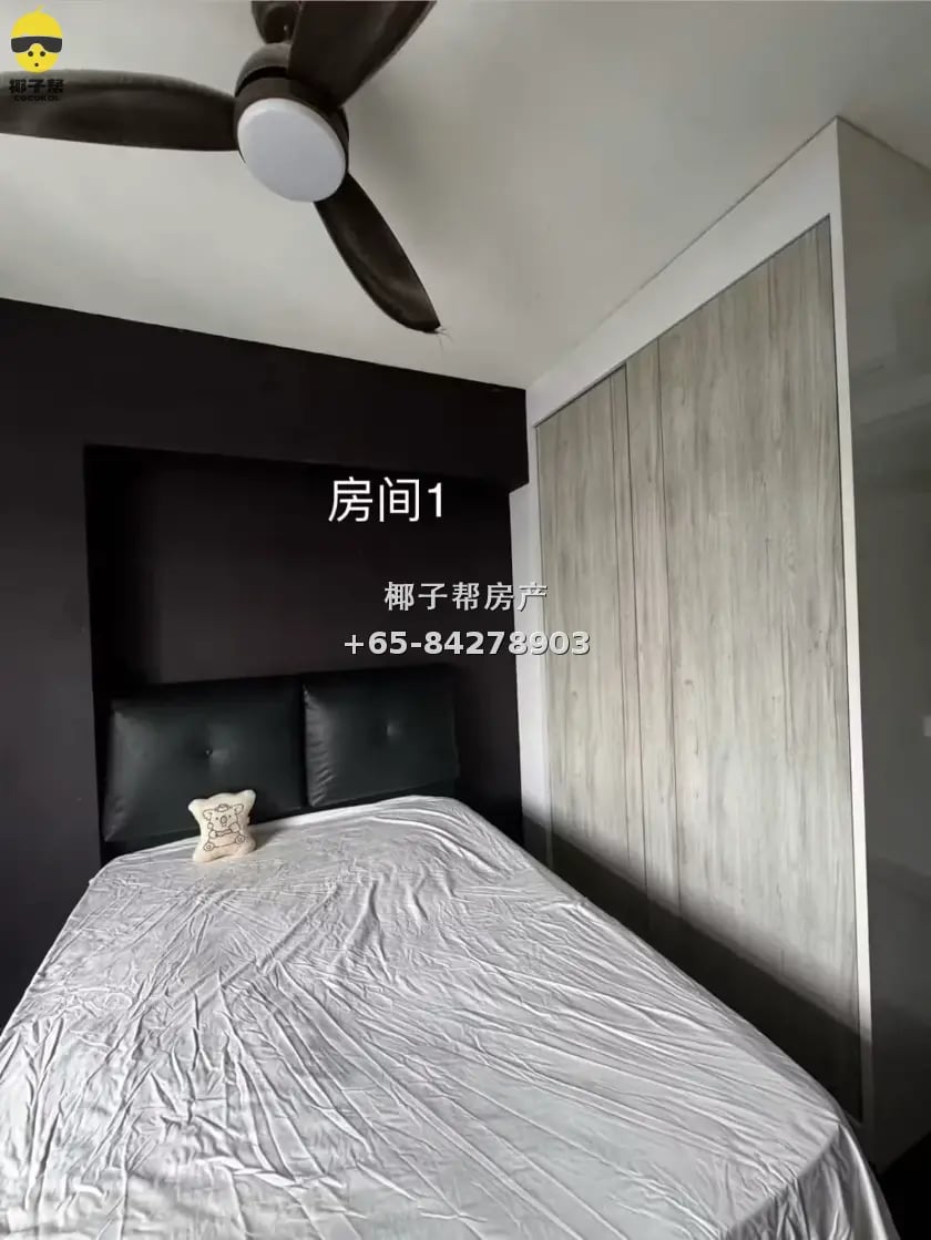 canberra单人间招租 1