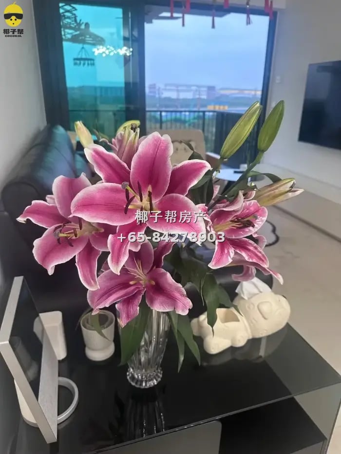 【出租】港脚公寓普通房 独立卫浴 包水电可住2人 4