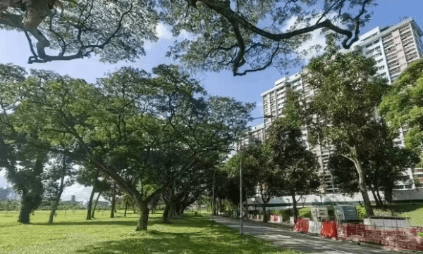 【For Rent】Ordinary Room in Apartment near Marymount/Upper Thomson MRT Station 1