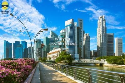 第15邮区大型豪宅项目 | 步行2分钟至地铁站 | 奢华生活极致体验 5