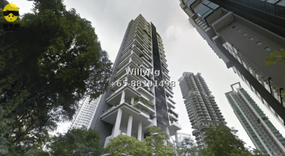 顶级奢华复式住宅 & 私家空中花园 1