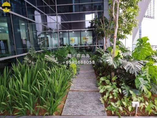 🏙【Tanjong Pagar Ultra-High Floor Office｜SBF Center🔥】 5
