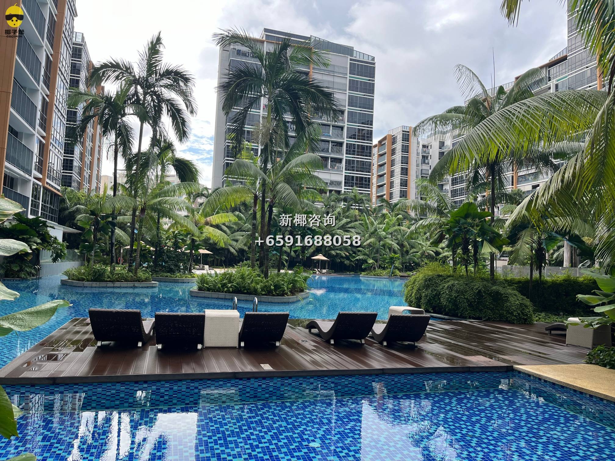 【For Rent】Two single rooms in Pasir Ris MRT apartment 2
