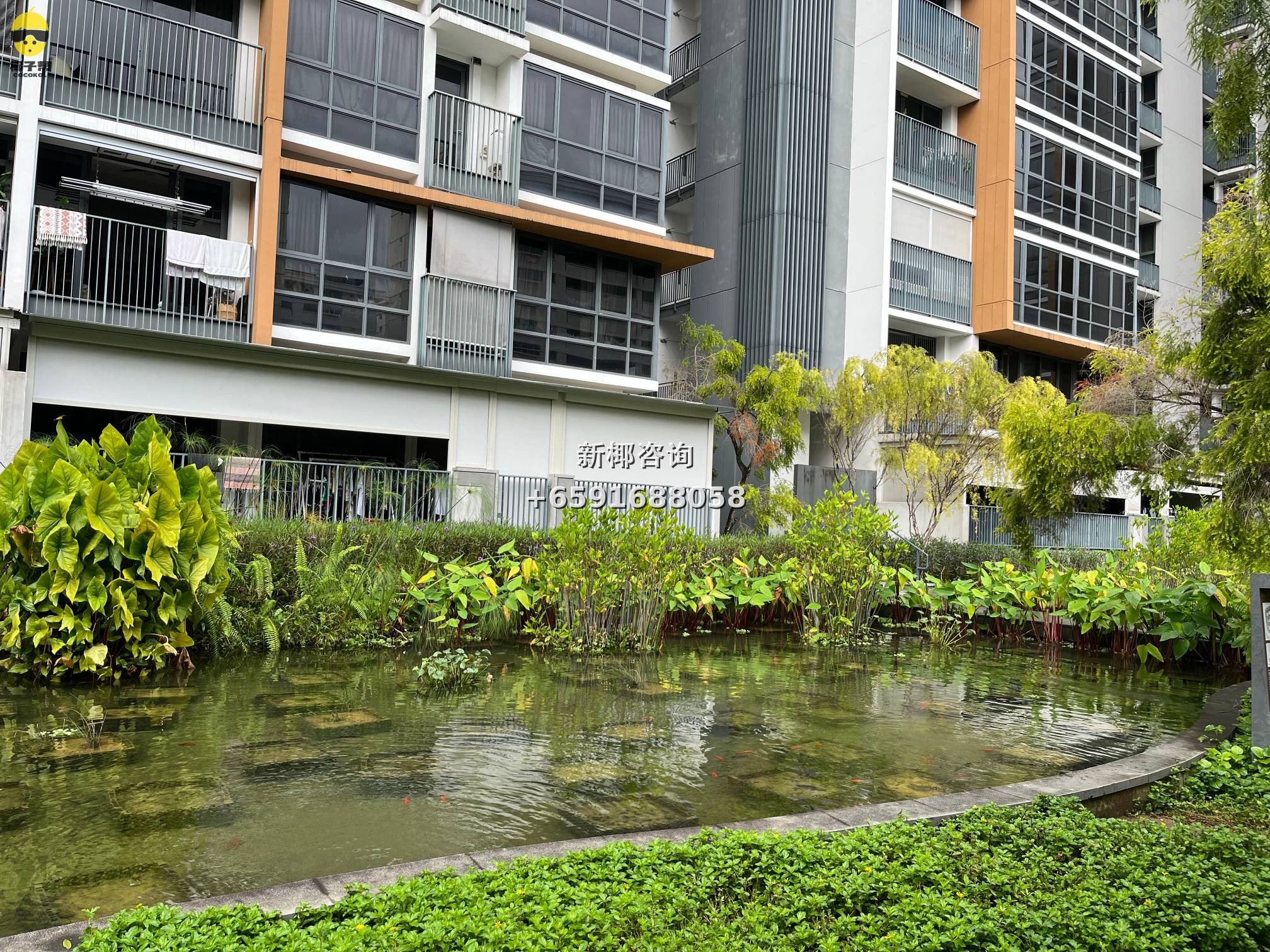 【For Rent】Two single rooms in Pasir Ris MRT apartment 3
