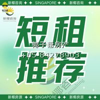 🇸🇬新加坡公寓3个月起租！🔥空窗期/出差党/换房速囤 3