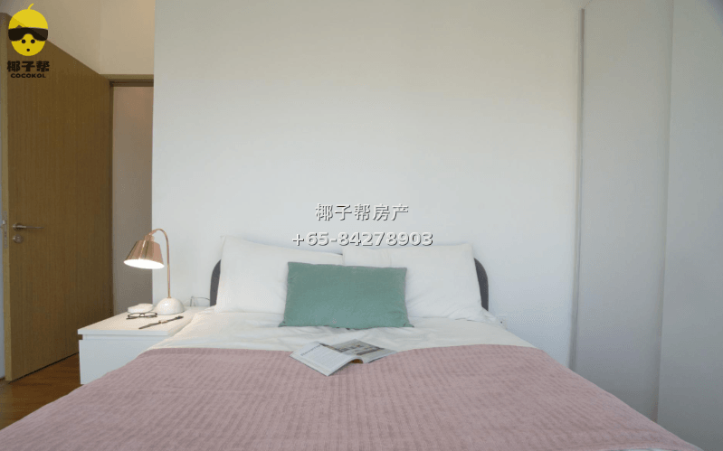 【出租】实龙岗MRT公寓主人房 6