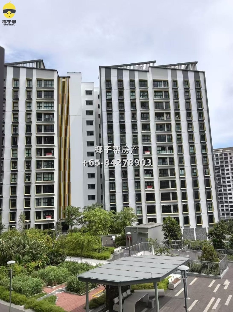 【出租】淡滨尼西MRT公寓单间 5