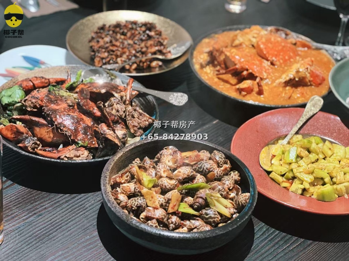 【南洋别墅寄宿家庭】友诺士MRT附近 6