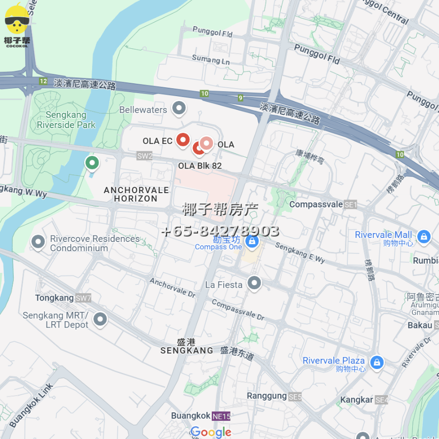 【Homestay】Near OWIS International School in Punggol 6