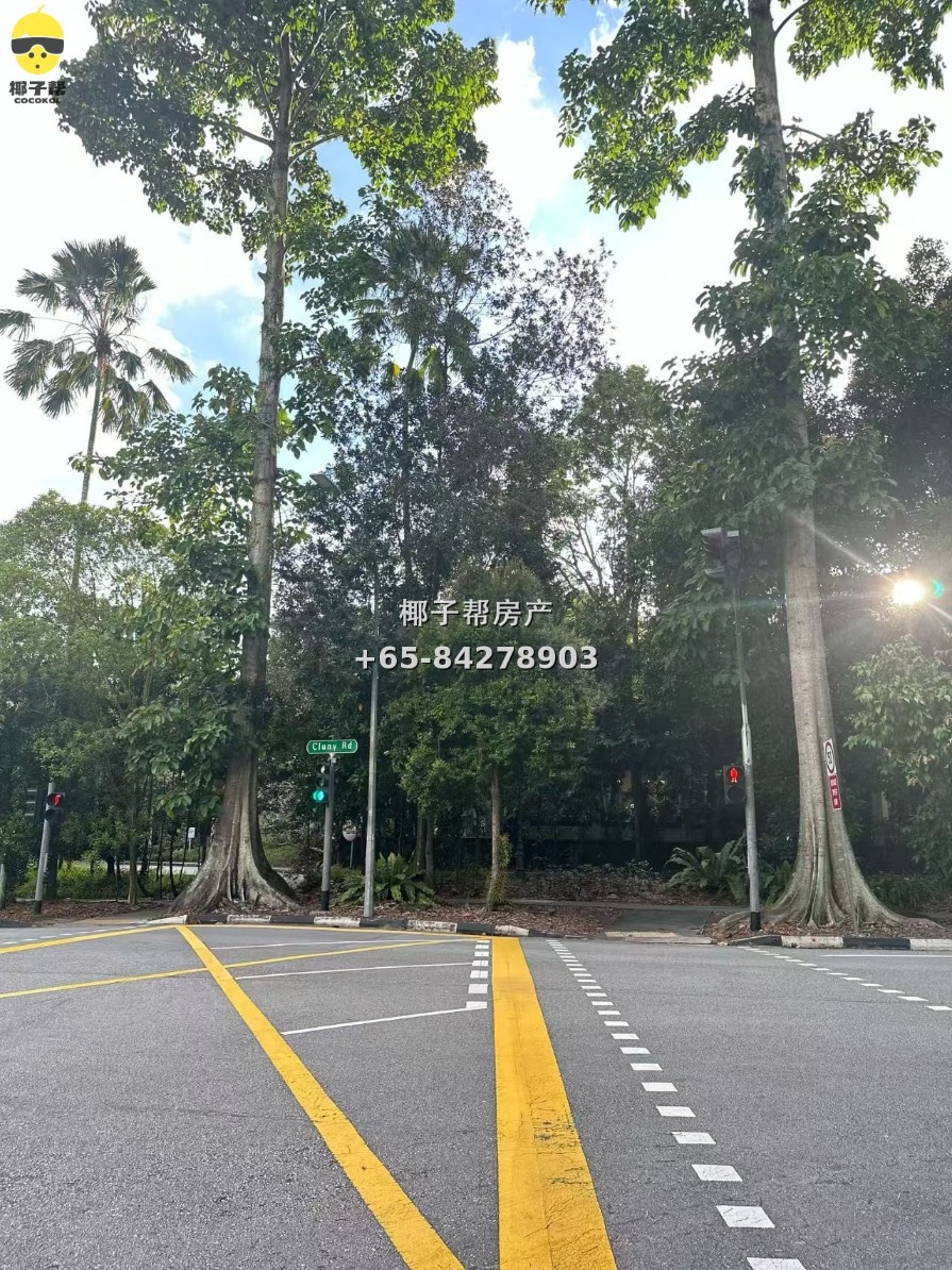 【出租】植物园MRT公寓普通房 8