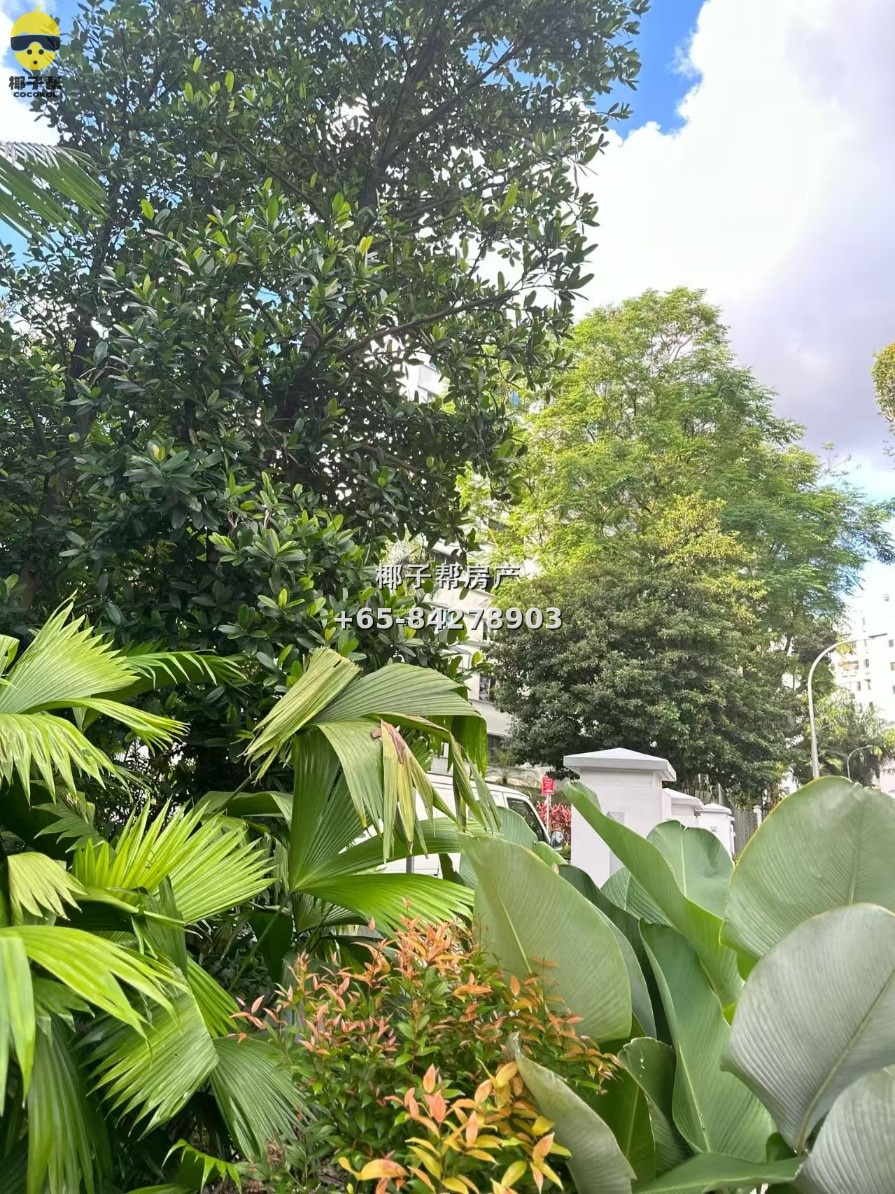 【出租】植物园MRT公寓普通房 7