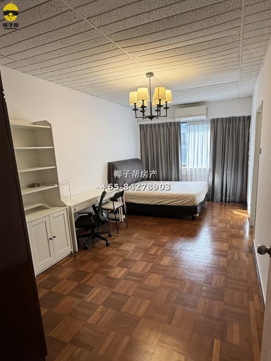 【For Rent】Common Room at Orchard Road MRT Apartment 1