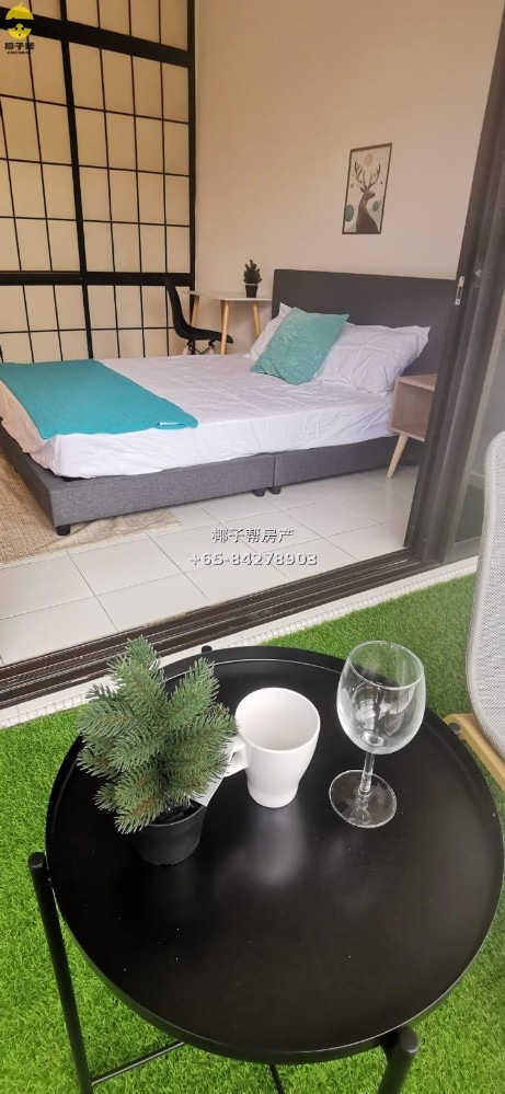 [For Rent] SMU/Lasalle Apartment Common Room with Balcony 4