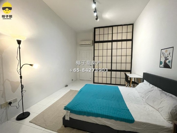 [For Rent] SMU/Lasalle Apartment Common Room with Balcony 2