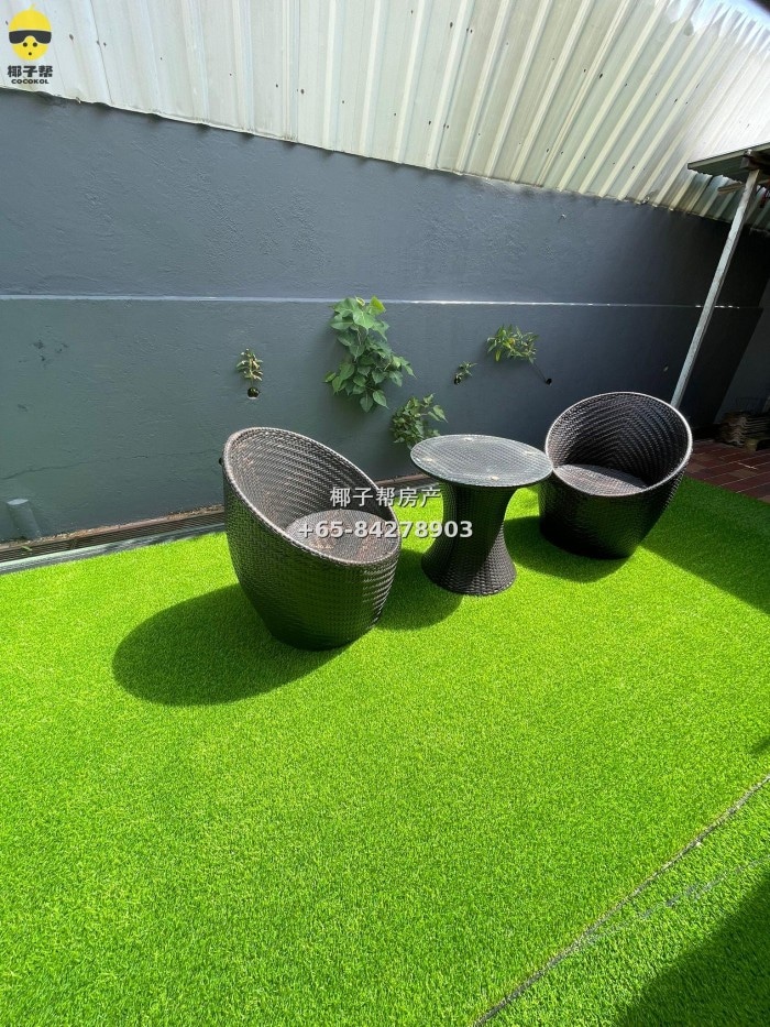 [For Rent] SMU/Lasalle Apartment Common Room with Balcony 5