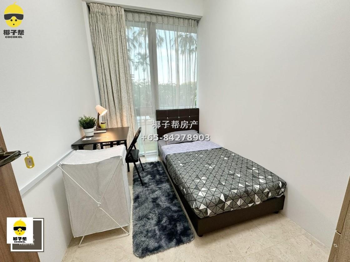 【出租】The Tessarina 单间合租 水电包$400 1