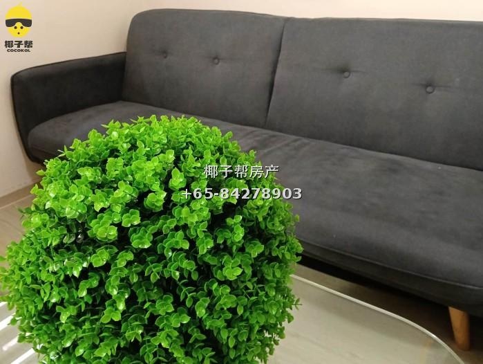 【For Rent】Tanjong Katong Shophouse Residence | Extra-Large Air-Conditioned Common Room for 2, Near Two MRT Stations 4