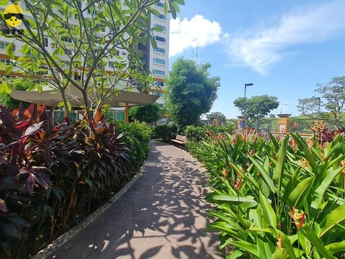 【出租】后港高文双地铁|Evergreen Park 主人房 2人带独立卫浴 7